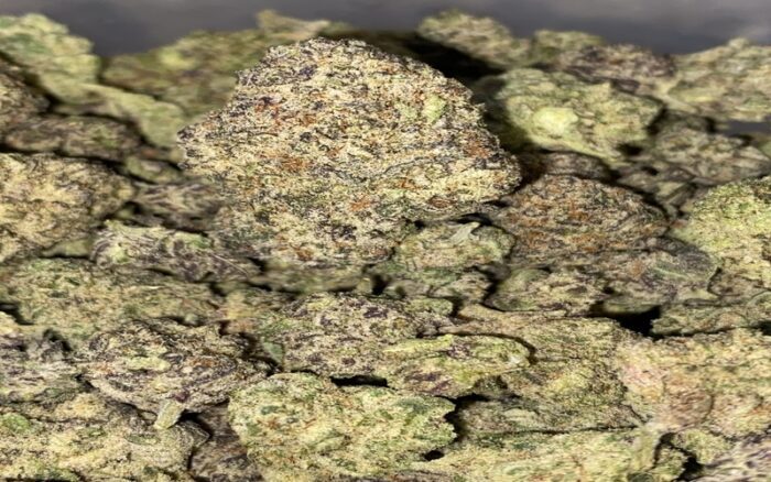 Bubblegum Gelato Marijuana Strain Type, Flavour, Uses, Side effects, price and Reviews