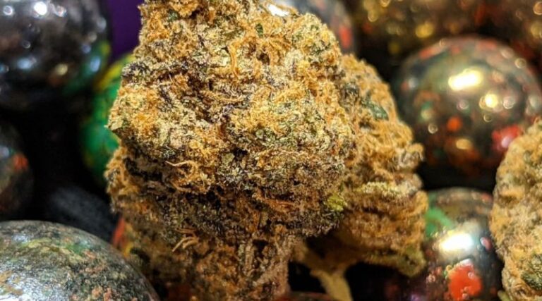 Grape Runtz Marijuana Strain Type, Flavour, Uses, Side effects, price ...